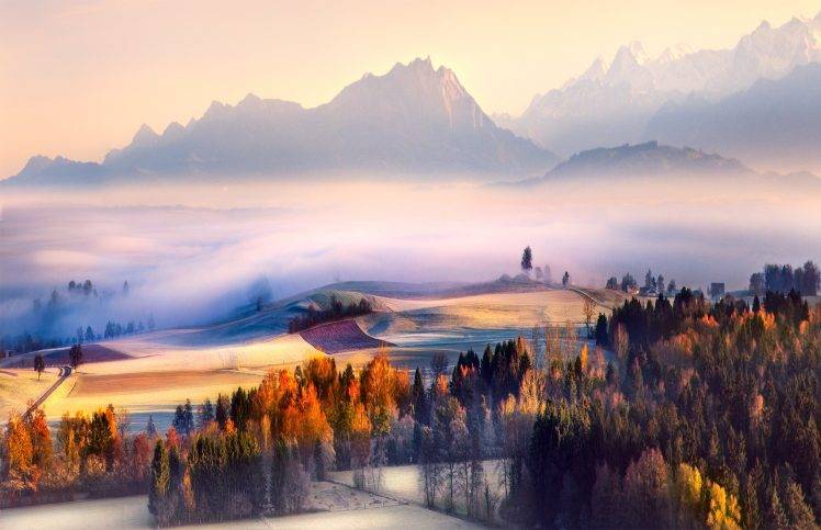 fall, Morning, Mist, Switzerland, Sunrise, Mountain, Forest, Valley, Nature, Landscape HD Wallpaper Desktop Background