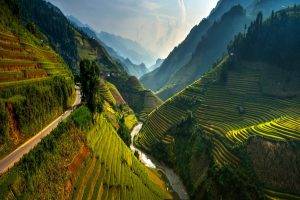 rice Paddy, Terraces, Valley, Vietnam, Mountain, Road, Mist, River, Green, Trees, Spring, Landscape, Nature