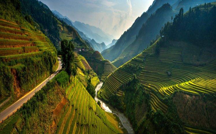 rice Paddy, Terraces, Valley, Vietnam, Mountain, Road, Mist, River, Green, Trees, Spring, Landscape, Nature HD Wallpaper Desktop Background