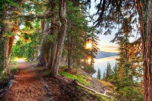 nature, HDR, Landscape, Lake, Trees, Forest, Path, Dirt Road