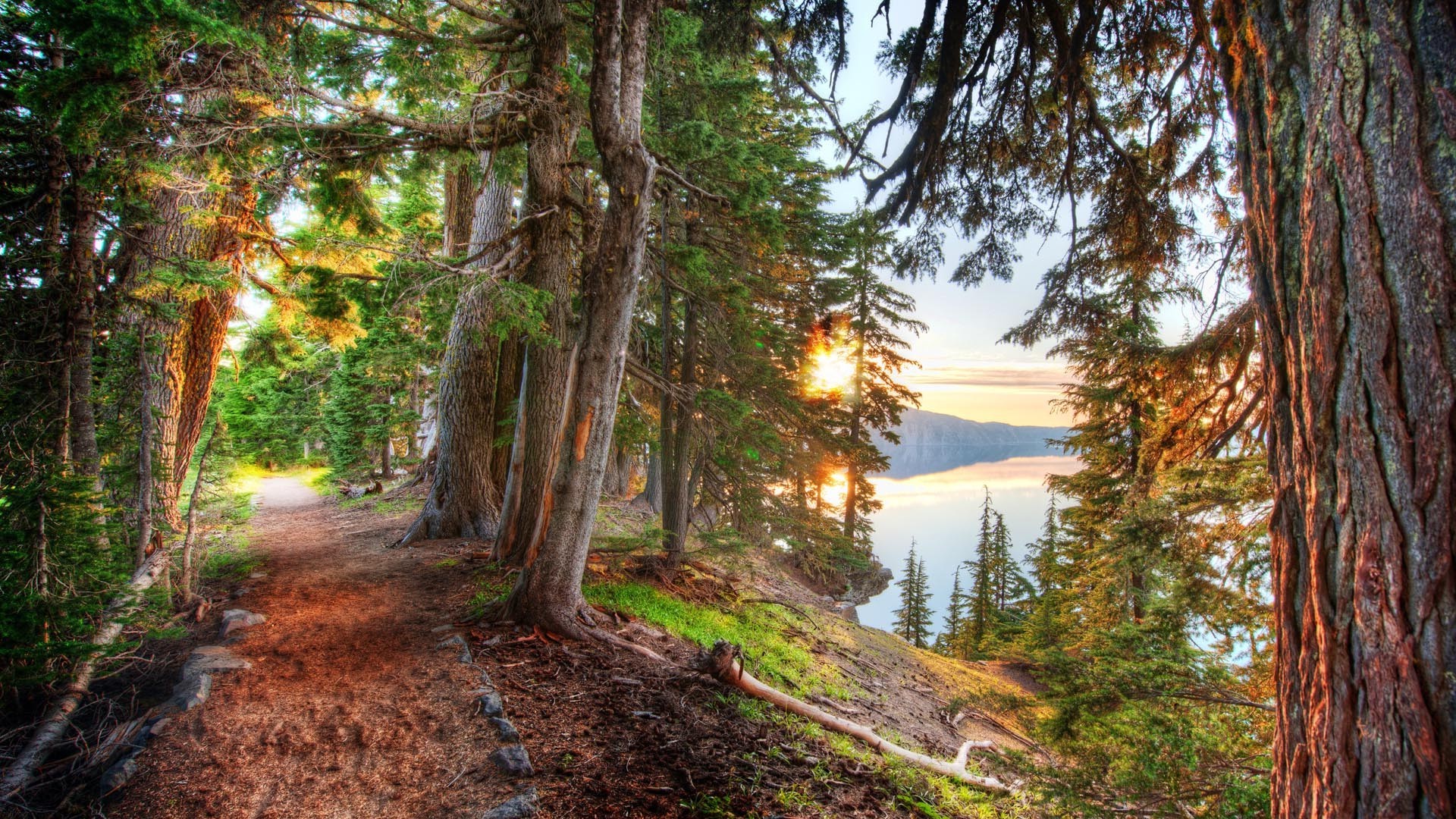nature, HDR, Landscape, Lake, Trees, Forest, Path, Dirt Road Wallpaper