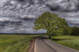 nature, HDR, Landscape, Road