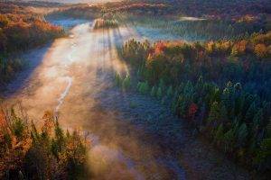 forest, Mist, Sunrise, Trees, Field, River, Sun Rays, Fall, Aerial View, Nature, Landscape