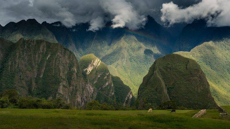 nature, Landscape, Trees, Clouds, Hill, Peru, Mountain, Field, Forest, Animals, Rainbows, Mist, Rainforest, Andes HD Wallpaper Desktop Background
