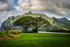 nature, HDR, Landscape, Hawaii