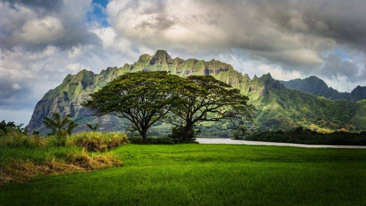 HDR, Landscape, Hawaii Wallpapers HD