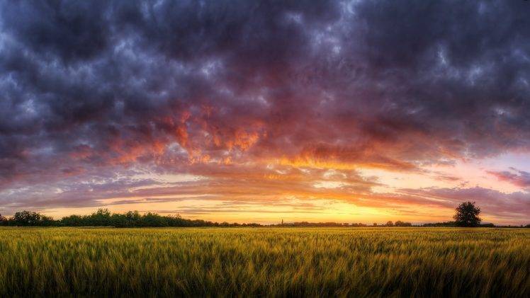 nature, HDR, Sunset, Landscape, Summer HD Wallpaper Desktop Background
