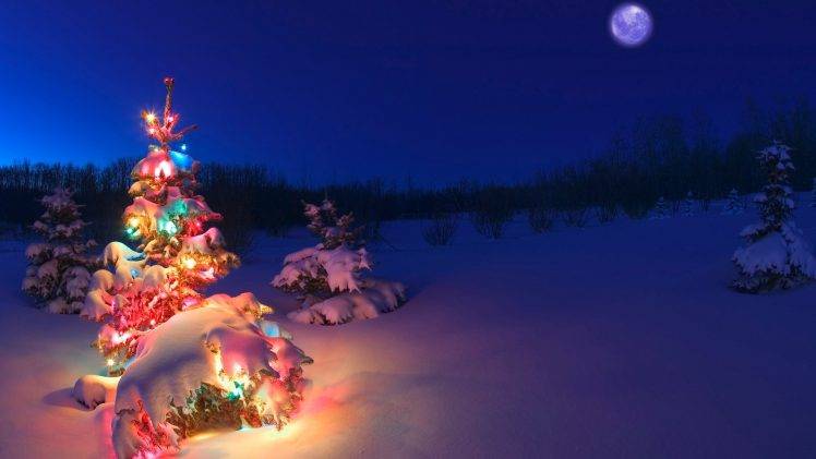 Christmas Tree, Snow, Christmas Lights HD Wallpaper Desktop Background