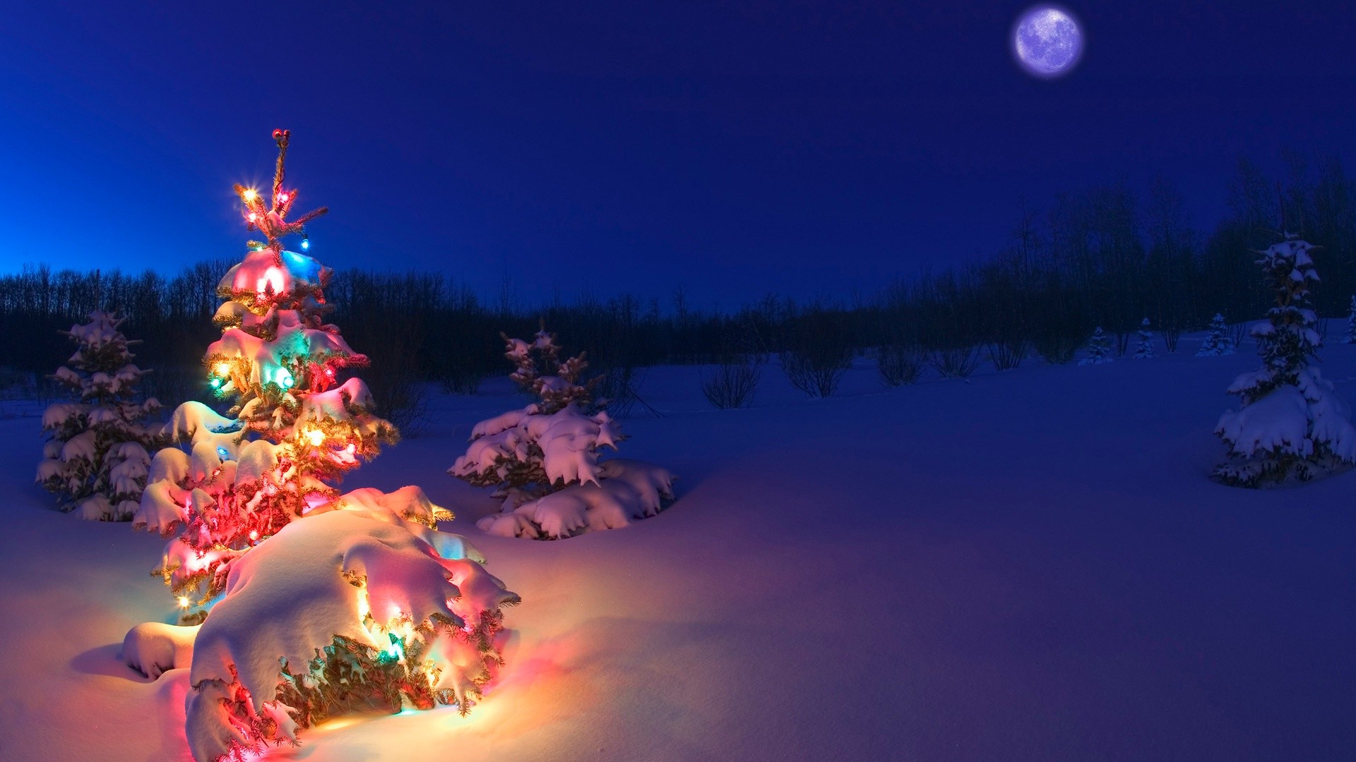 Christmas Tree, Snow, Christmas Lights Wallpaper
