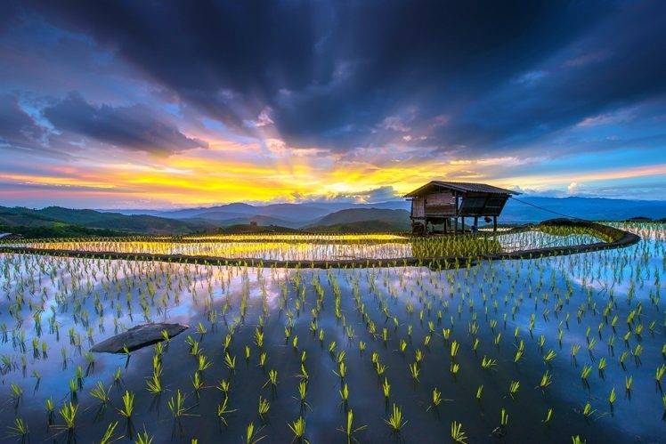sunrise, Rice Paddy, Hut, Terraces, Water, Mountain, Clouds, Yellow, Blue, Sun Rays, Nature, Landscape HD Wallpaper Desktop Background