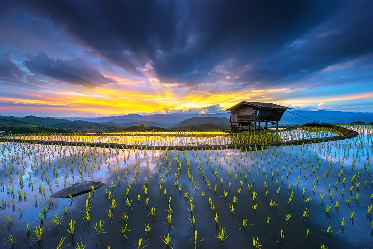 sunrise, Rice Paddy, Hut, Terraces, Water, Mountain ...