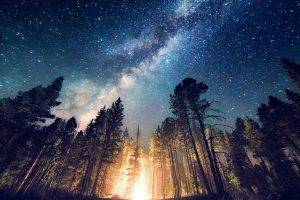forest, Camping, Starry Night, Trees, Milky Way, Long Exposure, Lights, Universe, Space, Nature, Landscape
