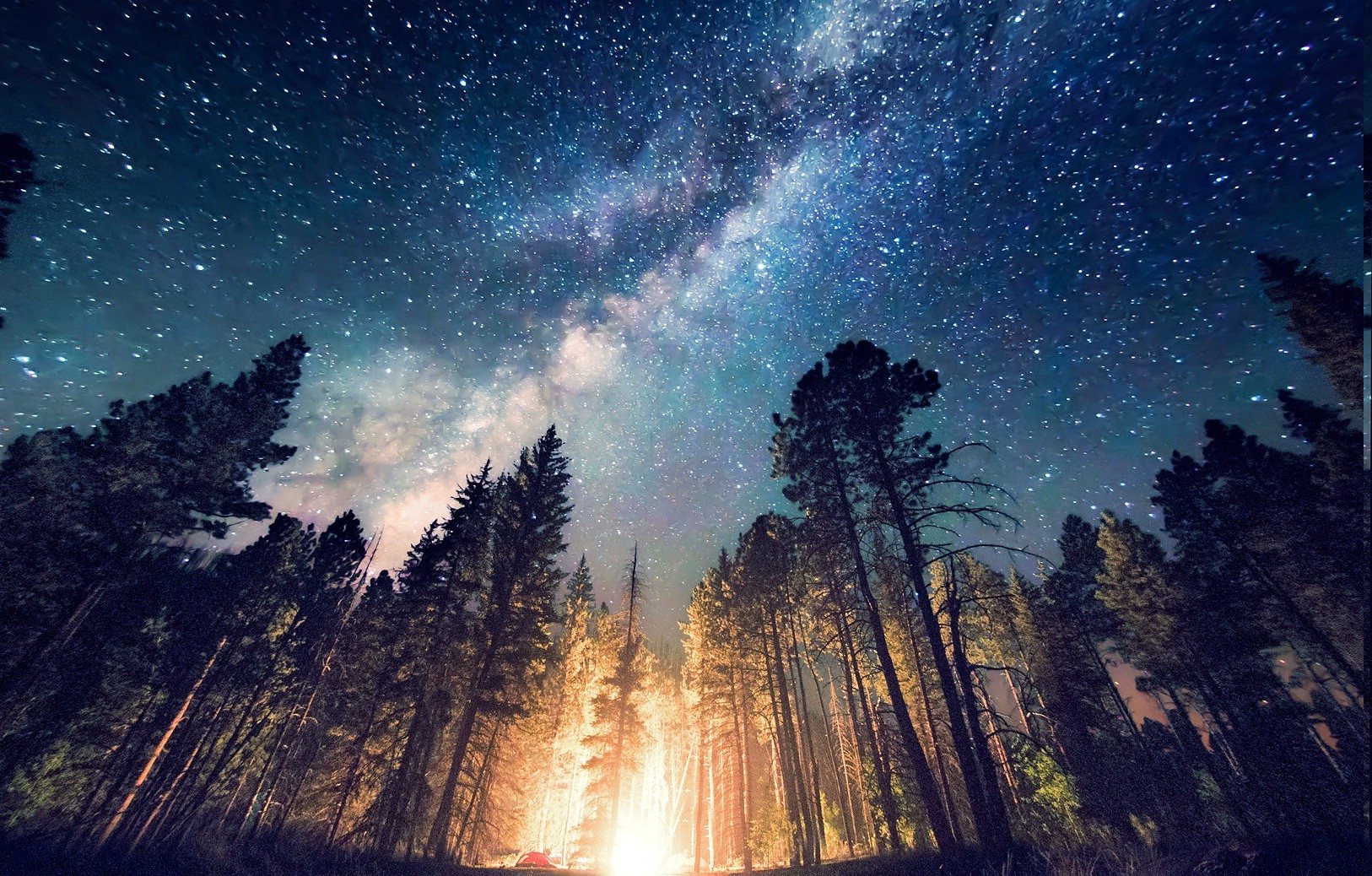 forest, Camping, Starry Night, Trees, Milky Way, Long Exposure, Lights, Uni...
