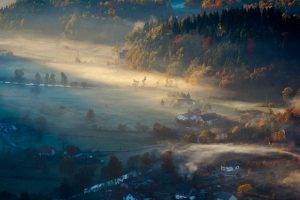 mist, Morning, Sunrise, Village, Forest, Fall, Field, Nature, Landscape