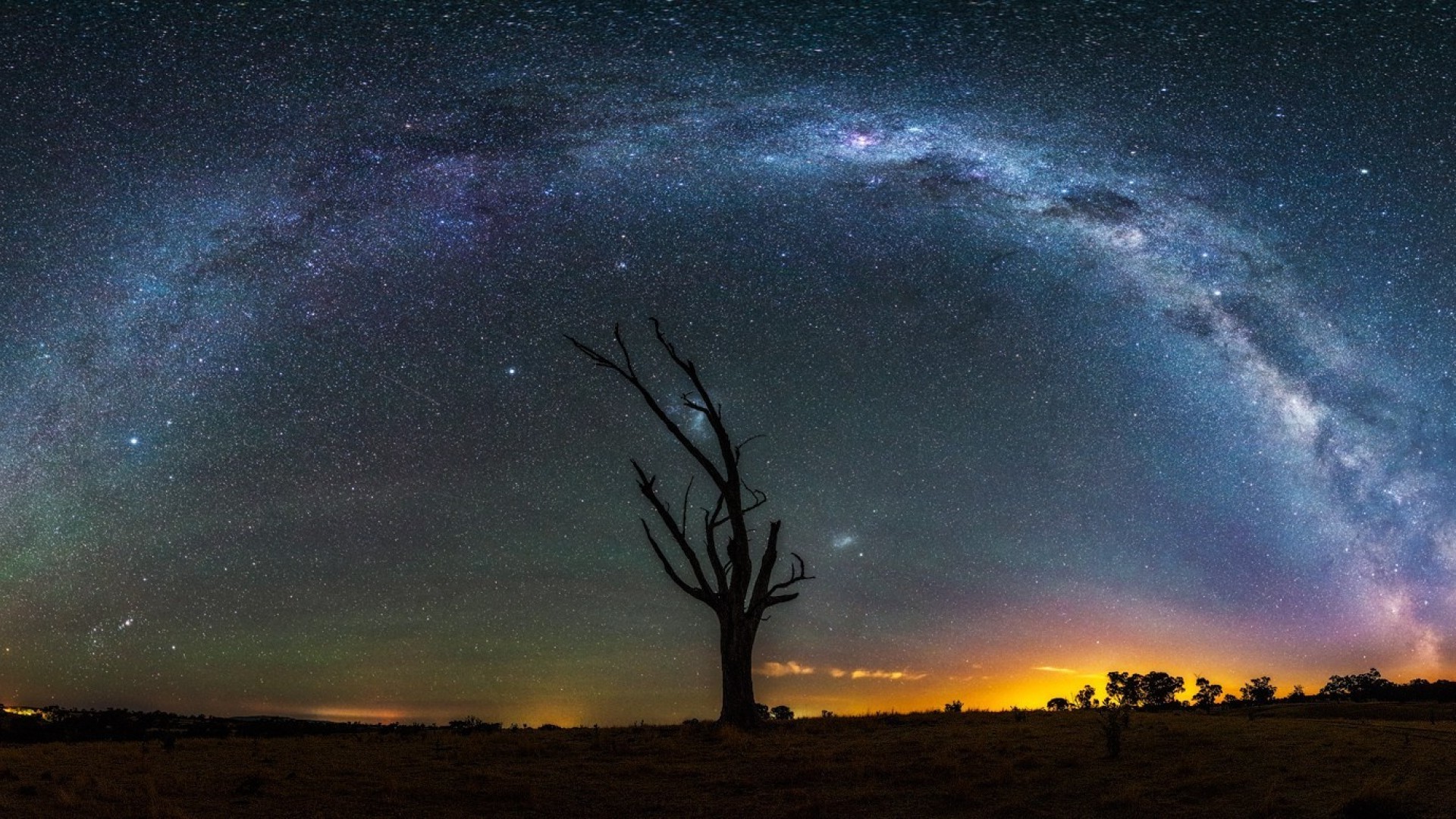 starry Night, Night, Stars, Landscape, Milky Way, Trees, Dead Trees, Sunrise, Long Exposure, Galaxy, Comet, Shooting Stars Wallpaper