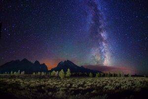 starry Night, Night, Stars, Landscape, Milky Way, Trees, Mountain, Clouds, Long Exposure, Galaxy