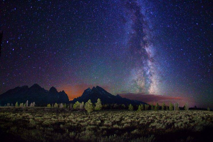 starry Night, Night, Stars, Landscape, Milky Way, Trees, Mountain, Clouds, Long Exposure, Galaxy HD Wallpaper Desktop Background