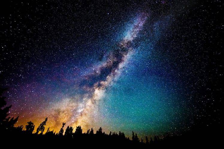 starry Night, Night, Stars, Landscape, Milky Way, Sunrise, Forest, Long Exposure HD Wallpaper Desktop Background