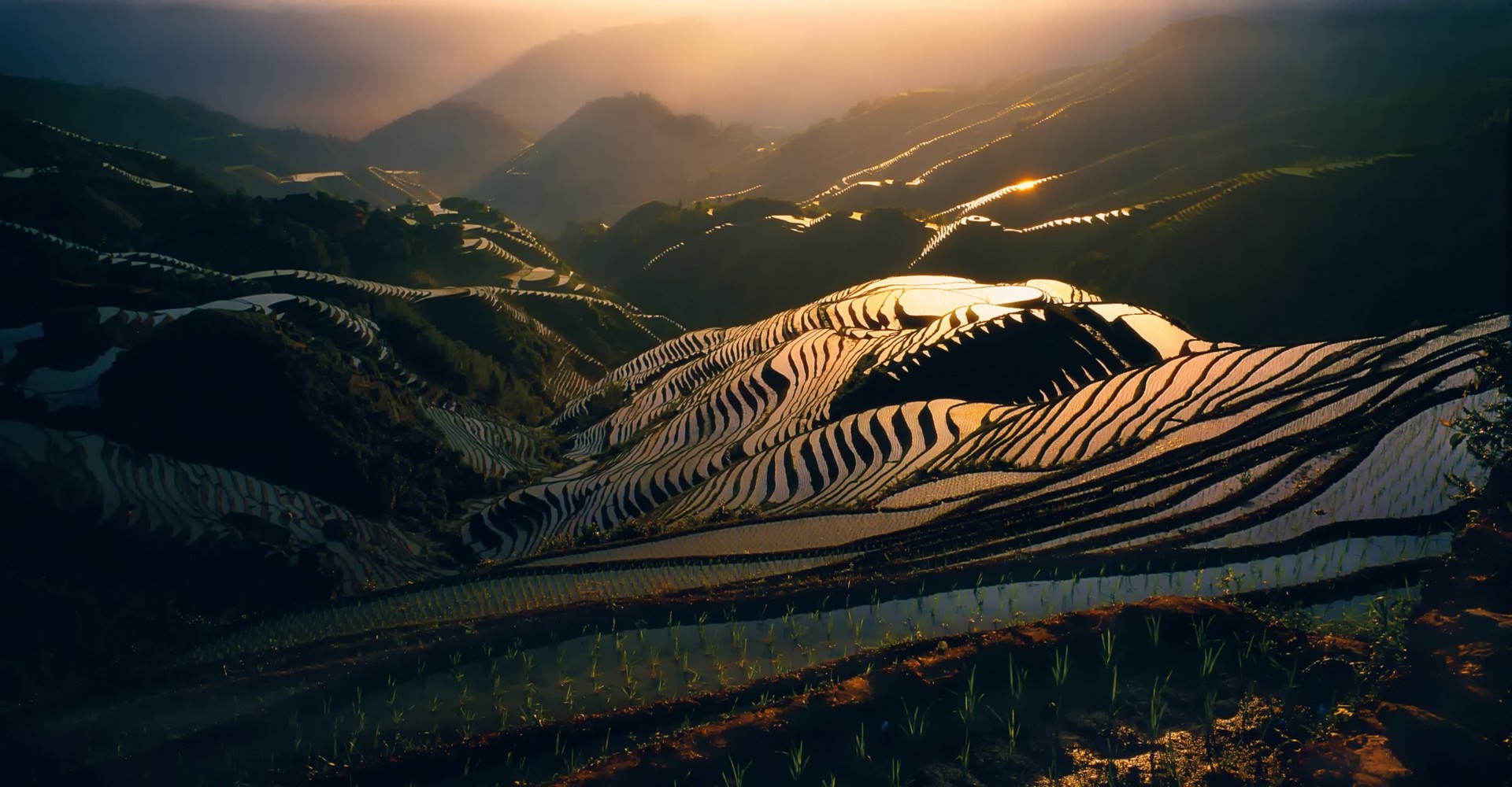 nature, Landscape, Sunrise, Rice Paddy, Terraces, Mountain, Mist, China, Water, Morning, Sunlight Wallpaper