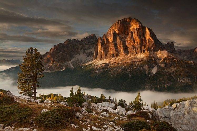 nature, Landscape, Mountain, Fall, Sunrise, Forest, Mist, Trees, Cliff HD Wallpaper Desktop Background