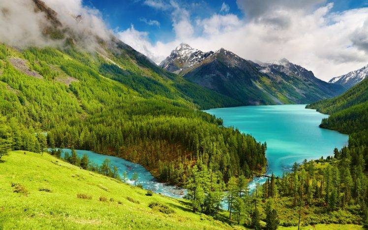 forest, Mountain, Trees, Water, Lake, Landscape, Nature HD Wallpaper Desktop Background