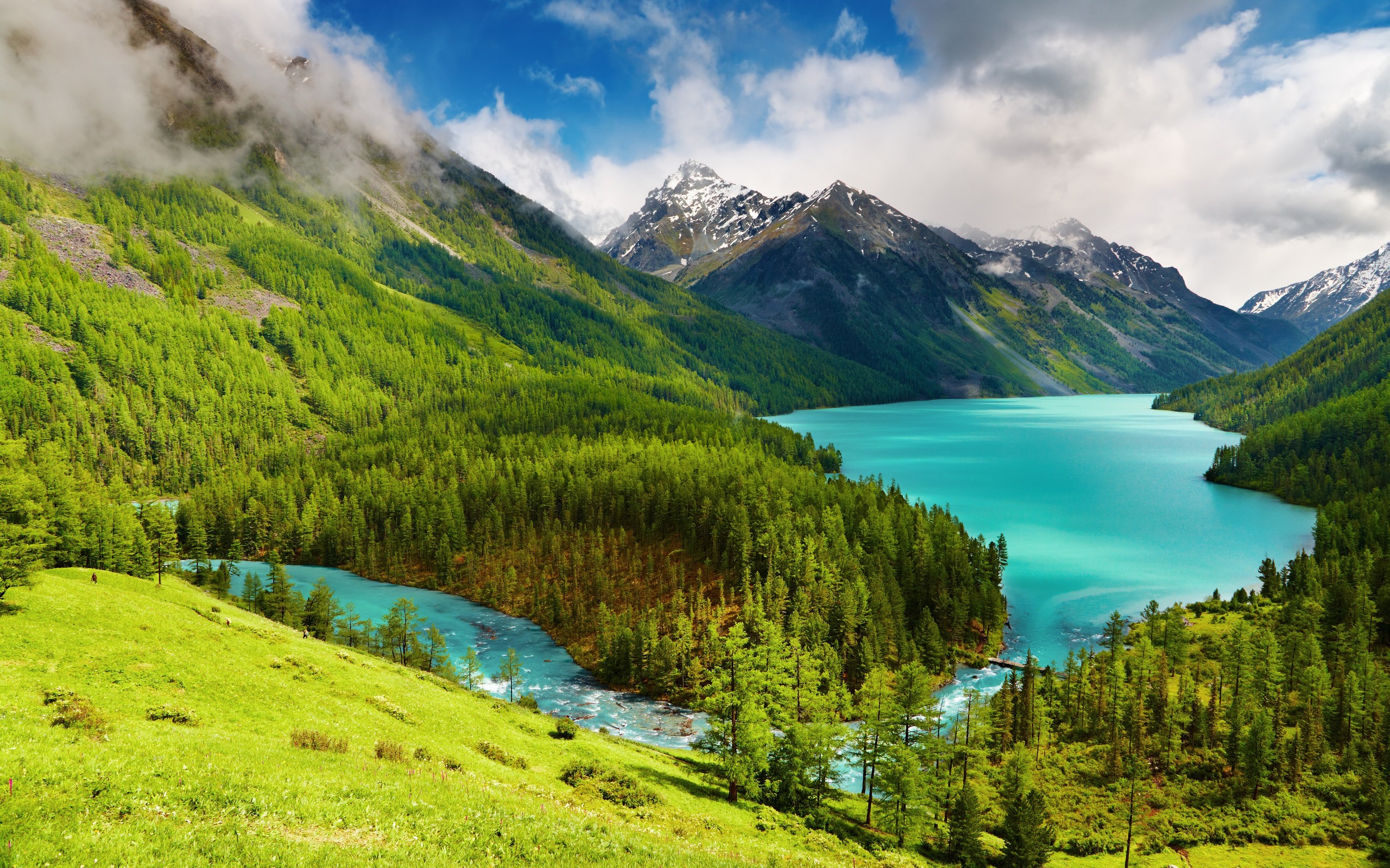 Forest Mountain Trees Water Lake Landscape Nature Wallpapers HD 