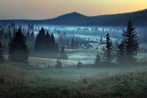 nature, Landscape, Mist, Forest, Germany, Trees, Mountain, Sunrise, Grass