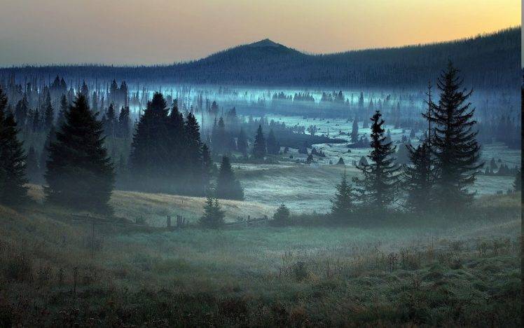 nature, Landscape, Mist, Forest, Germany, Trees, Mountain, Sunrise, Grass HD Wallpaper Desktop Background