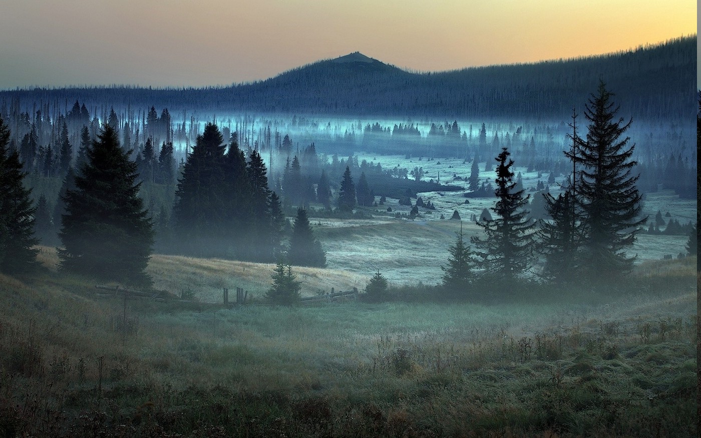 nature, Landscape, Mist, Forest, Germany, Trees, Mountain, Sunrise, Grass Wallpaper