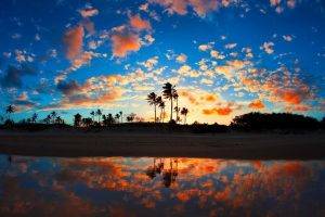 nature, Landscape, Sunrise, Beach, Sea, Palm Trees, Clouds, Tropical, Reflection, Sand