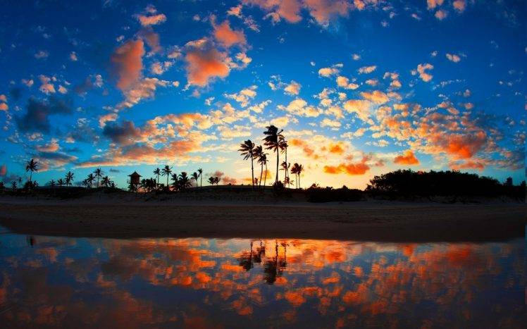 nature, Landscape, Sunrise, Beach, Sea, Palm Trees, Clouds, Tropical, Reflection, Sand HD Wallpaper Desktop Background
