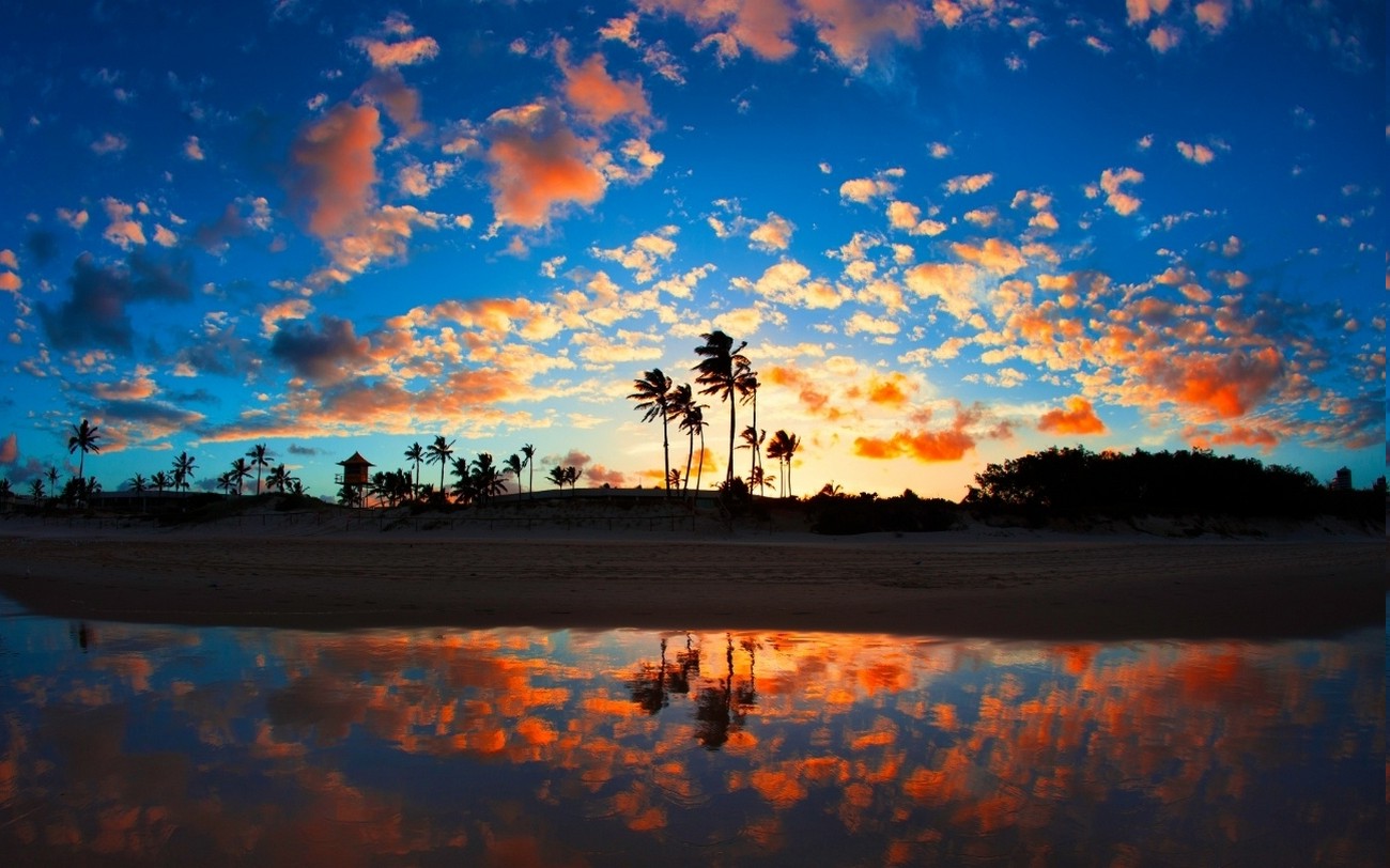 nature, Landscape, Sunrise, Beach, Sea, Palm Trees, Clouds, Tropical, Reflection, Sand Wallpaper