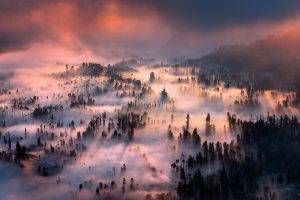 nature, Landscape, Sunrise, Forest, Mist, Mountain, Clouds, Valley, Indonesia