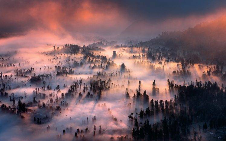 nature, Landscape, Sunrise, Forest, Mist, Mountain, Clouds, Valley, Indonesia HD Wallpaper Desktop Background