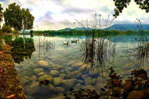 nature, Trees, Landscape, Water, Lake, Hill, Clouds, Stones, Animals, Birds, Duck, Pier, Reflection, Leaves