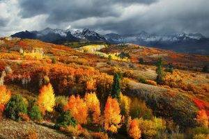 nature, Landscape, Fall, Forest, Mountain, Colorado, Snowy Peak, Clouds, Colorful