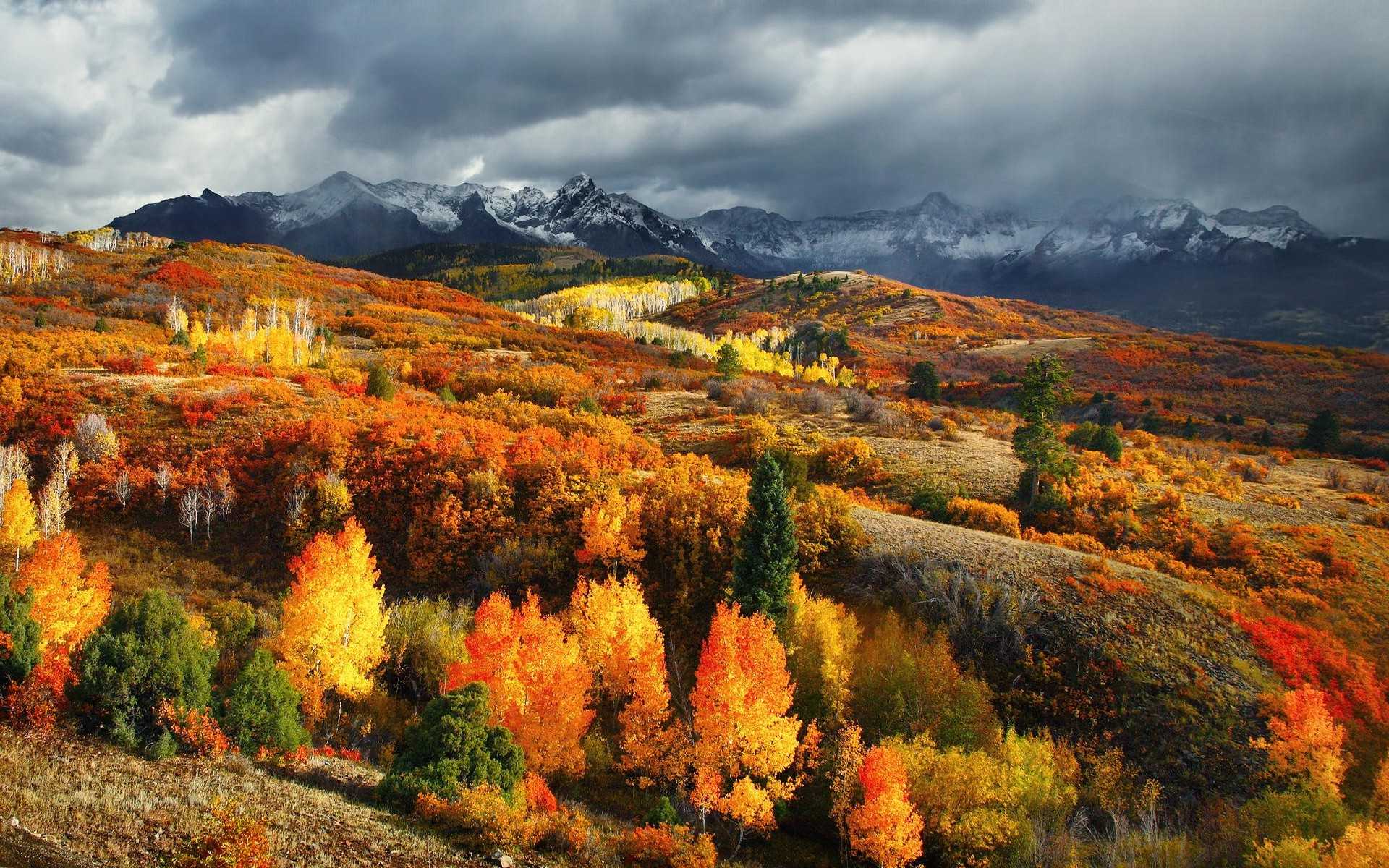 nature, Landscape, Fall, Forest, Mountain, Colorado, Snowy Peak, Clouds, Colorful Wallpaper