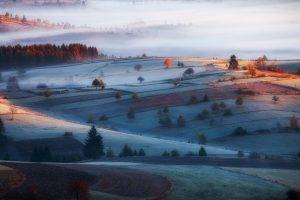 nature, Landscape, Mist, Sunrise, Field, Forest, Morning, Frost, Cold