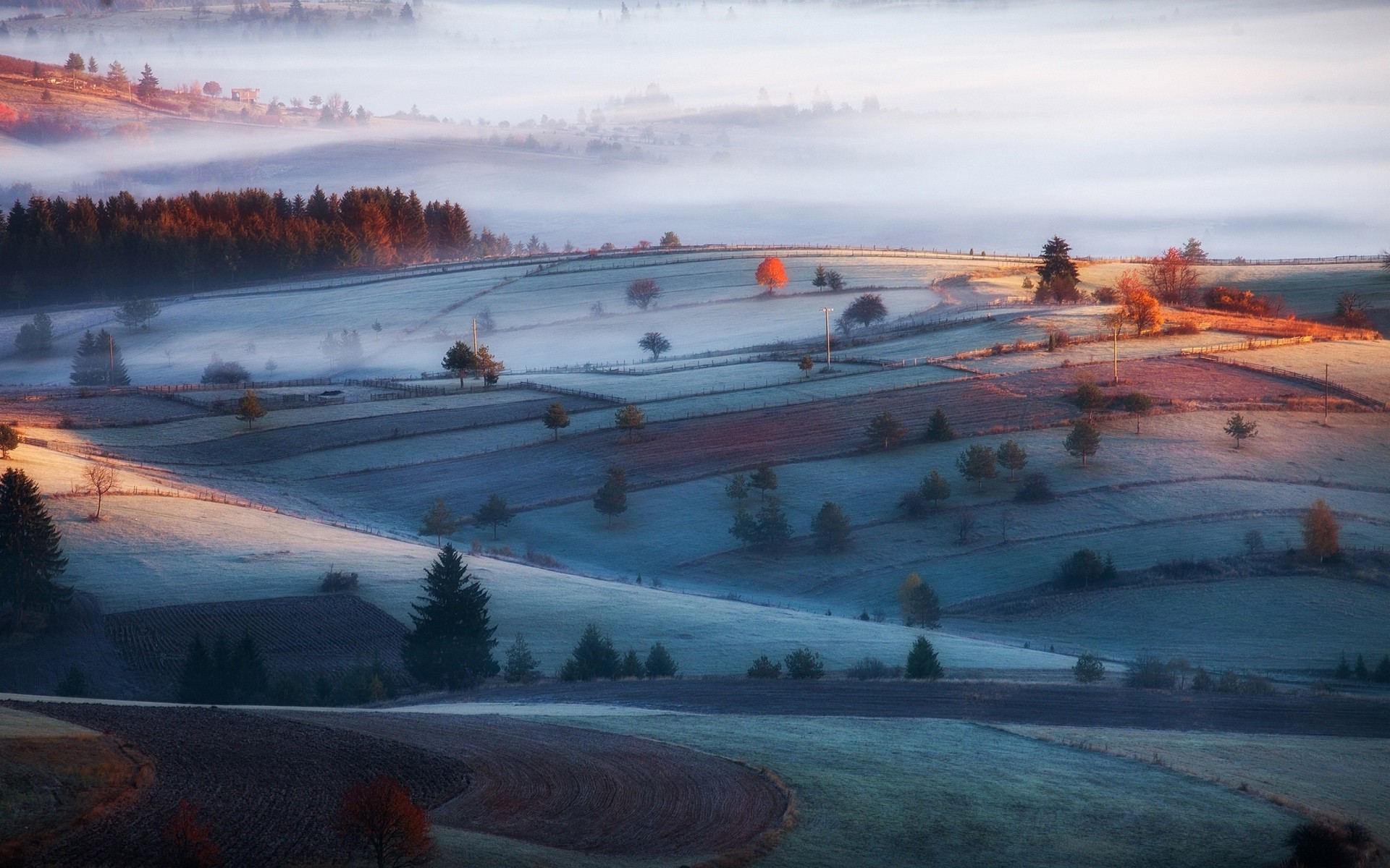 nature, Landscape, Mist, Sunrise, Field, Forest, Morning, Frost, Cold Wallpaper