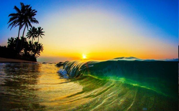 nature, Landscape, Sunrise, Sunlight, Morning, Beach, Sea, Waves, Palm Trees, Sand, Liquid, Water HD Wallpaper Desktop Background