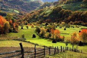 nature, Landscape, Trees, Forest, Mountain, Hill, Field, Grass, Fall, Fence, Hay, Haystacks, Sumadija