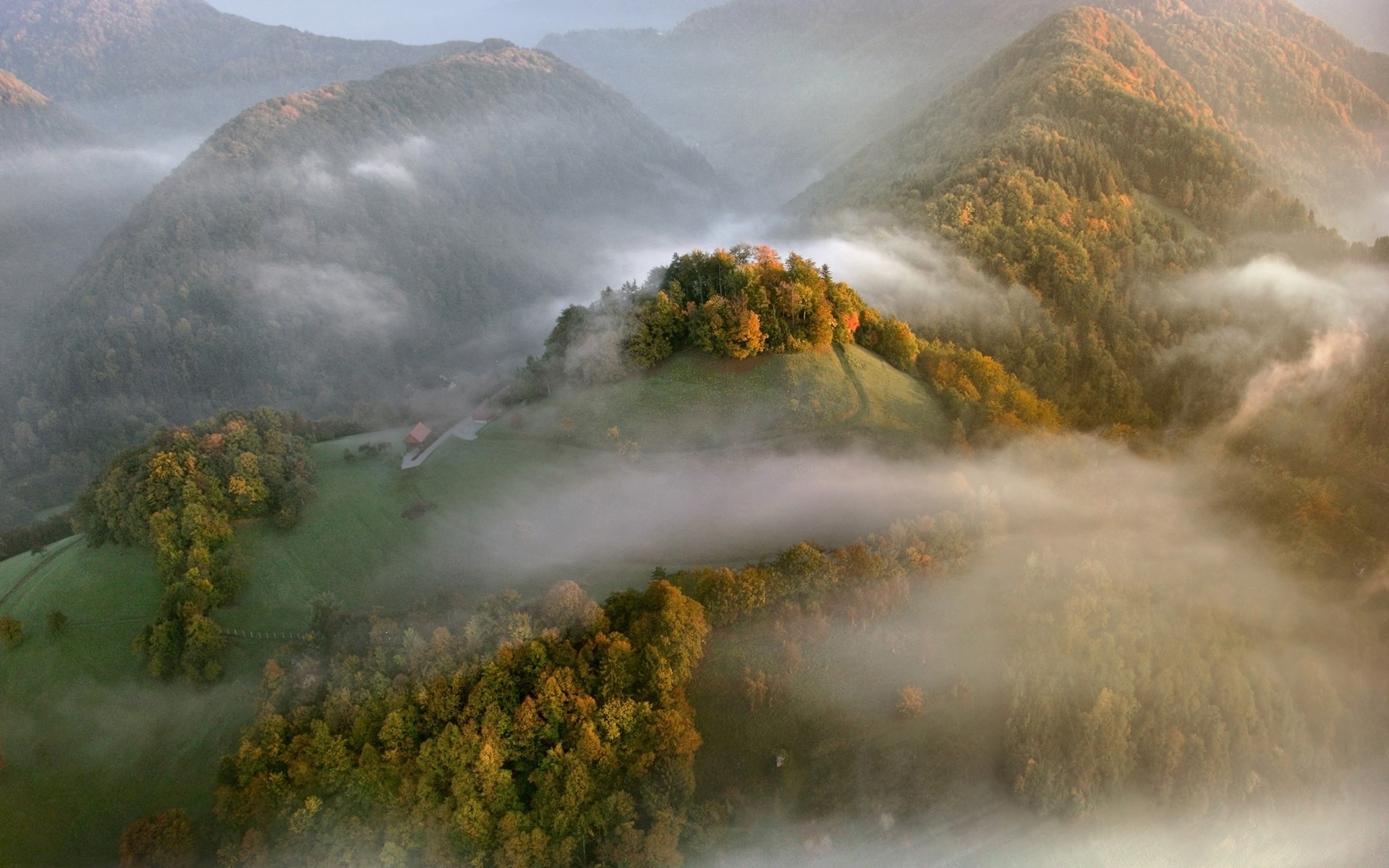mist, Landscape, Nature, Aerial View, Mountain, Fall, Sunrise, Forest, Field Wallpaper