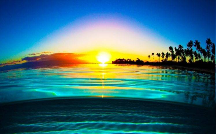 nature, Landscape, Water, Mist, Liquid, Sunrise, Beach, Palm Trees, Sea, Calm, Yellow, Blue HD Wallpaper Desktop Background