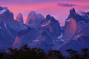 nature, Landscape, Patagonia, Sunrise, Mountain, Torres Del Paine, Chile, Forest