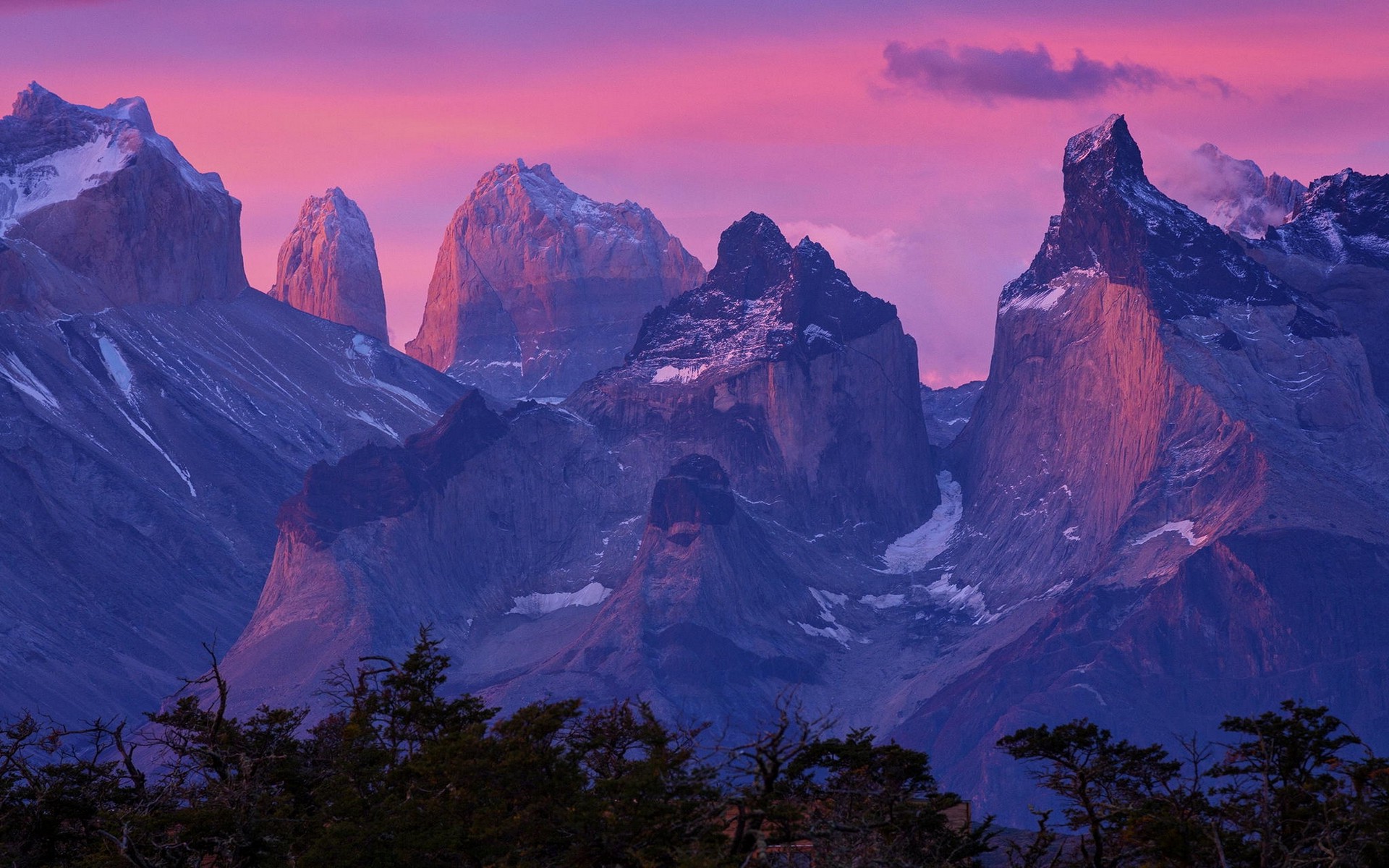 nature, Landscape, Patagonia, Sunrise, Mountain, Torres Del Paine, Chile, Forest Wallpaper
