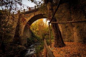 bridge, Landscape, Fall, Leaves