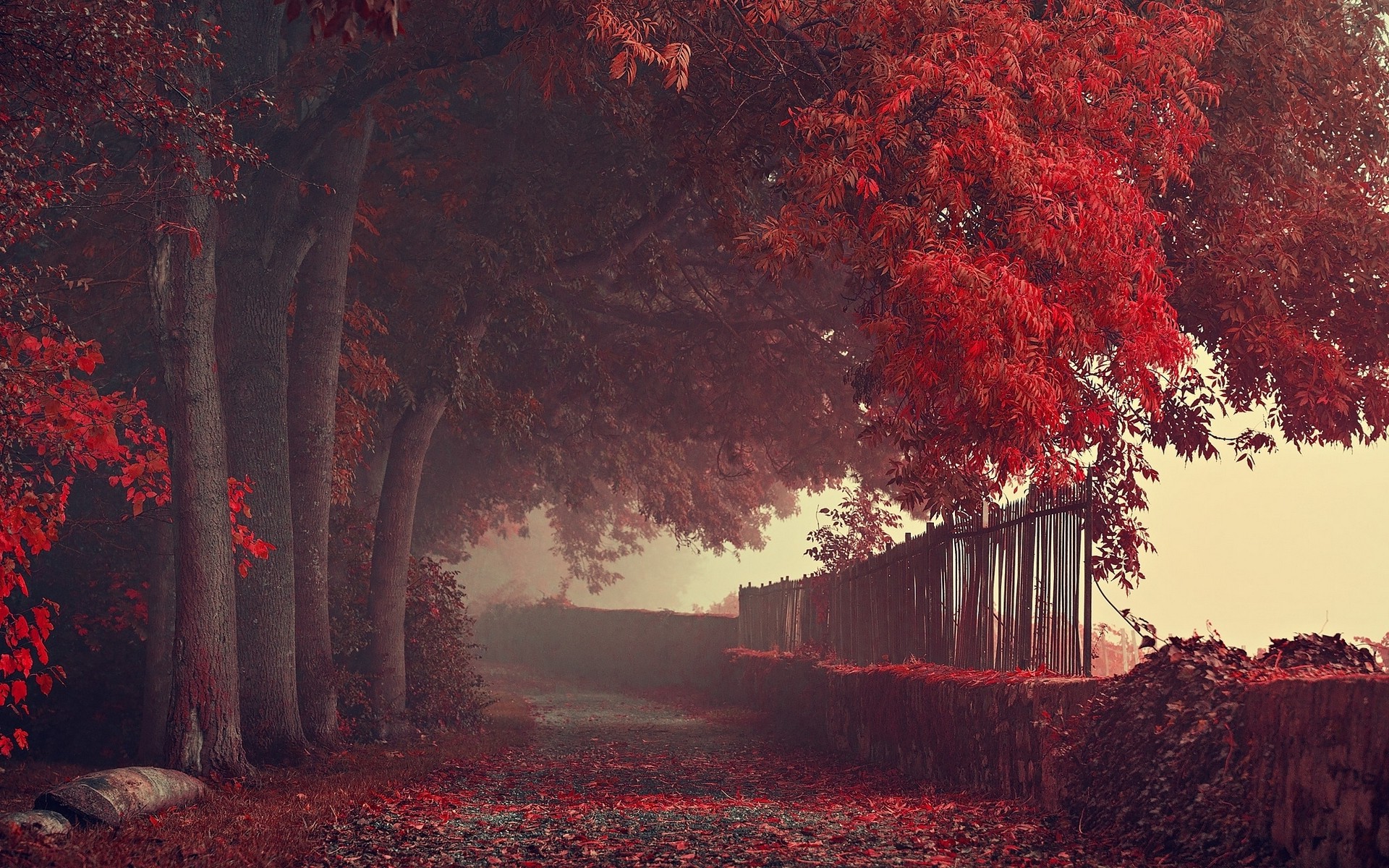 nature, Landscape, Fall, Road, Path, Fence, Trees, Leaves, Red, Mist Wallpaper