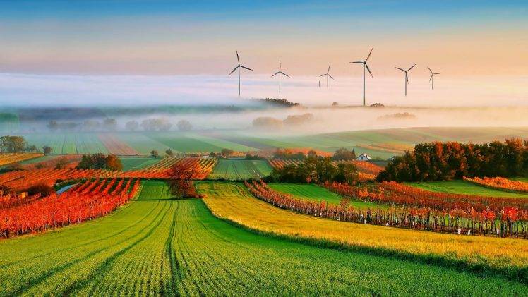 nature, Landscape, Trees, Clouds, Field, Mist, Hill, House, Vineyard, Wind Turbine HD Wallpaper Desktop Background