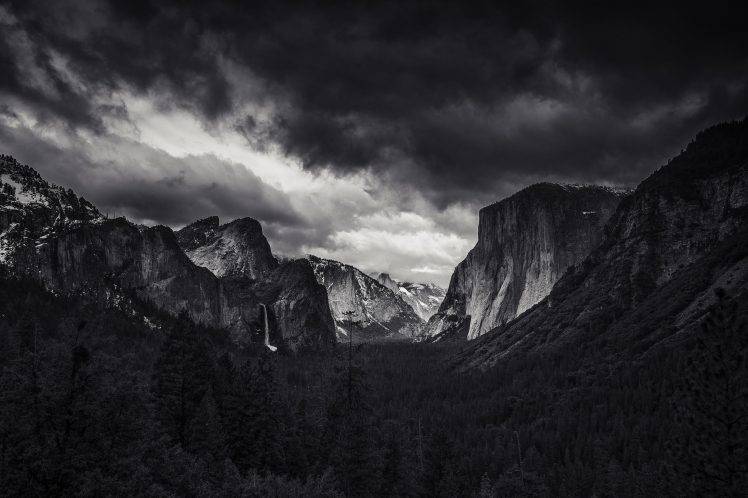Mountain, Forest, Yosemite Valley