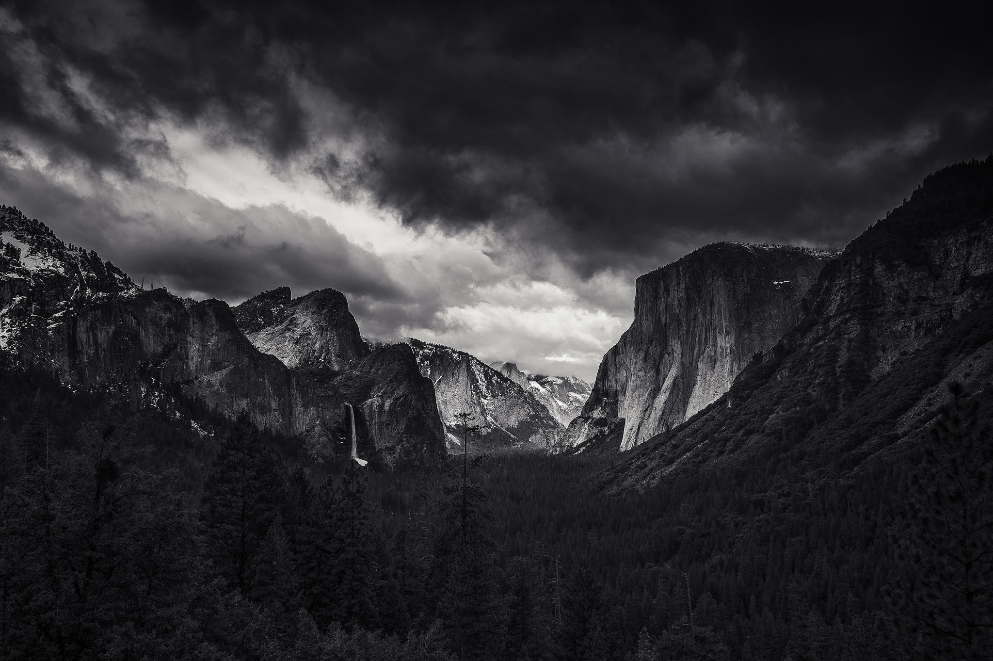 landscape, Nature, Monochrome, Mountain, Forest, Yosemite Valley, Yosemite National Park, El Capitan Wallpaper